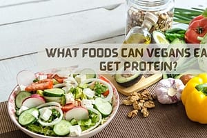 What foods can Vegans eat to get protein?